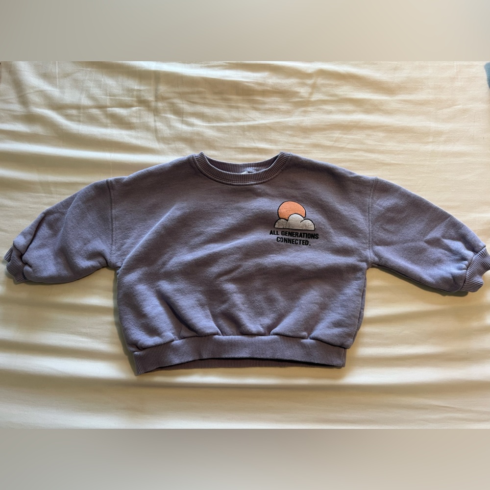 Zara sweater